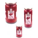 Vaso da 360g PEPERONI rossi grigliati e spellati/P